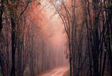 2010年世界杯西班牙的阵型图有什么特点？